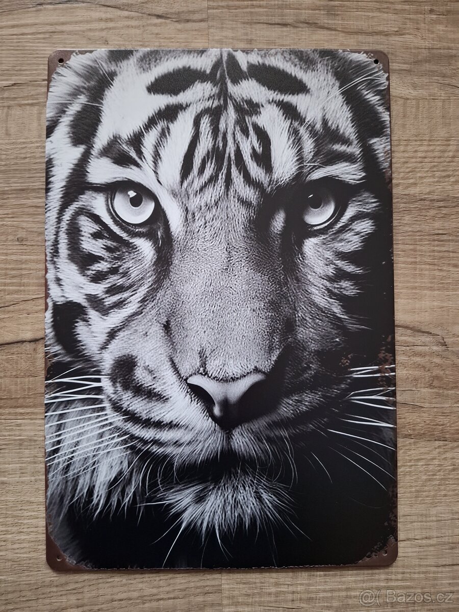 Plechová cedule 20x30cm černobílá - 5