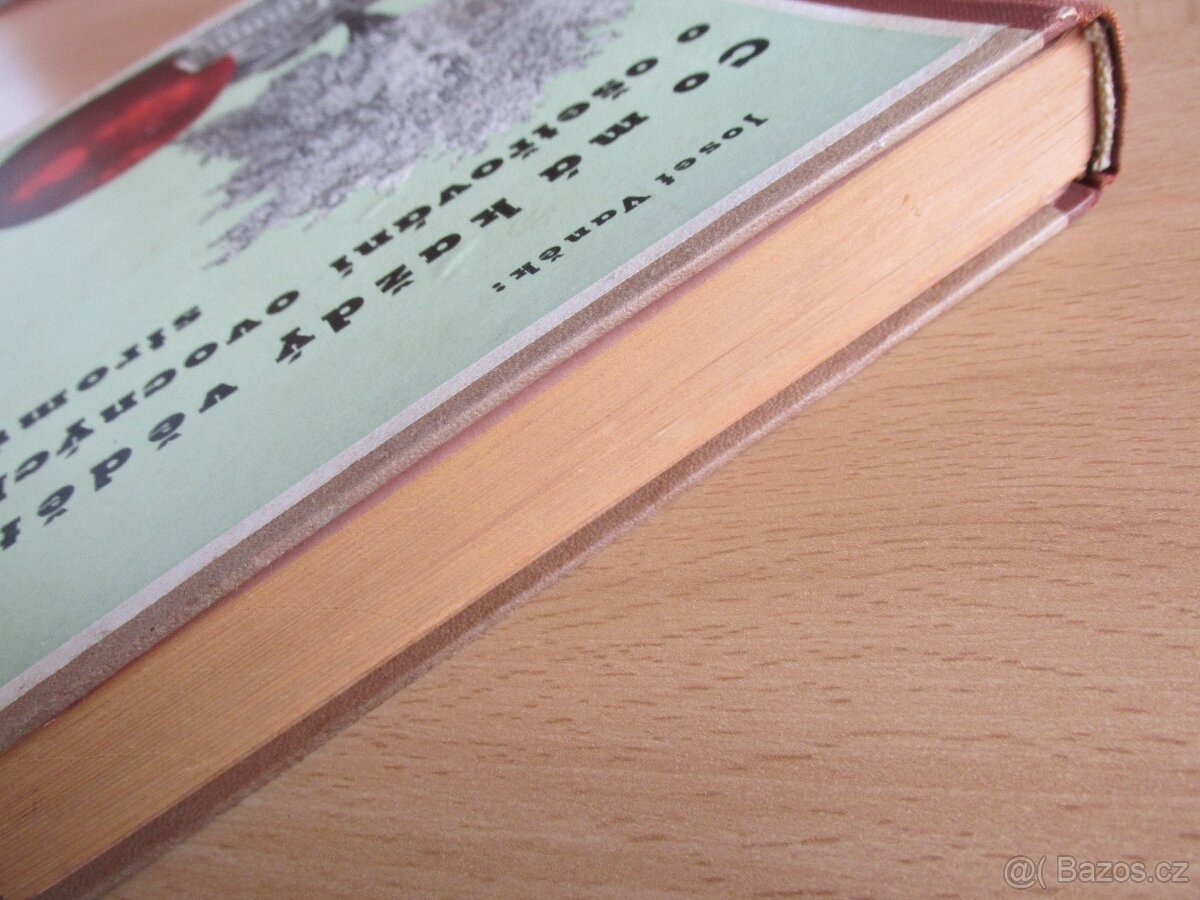 OVOCNÉ STROMY - CO MÁ KAŽDÝ VĚDĚTI - 5