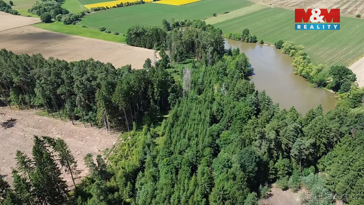 Prodej lesa, 5323 m², Opařany - 5