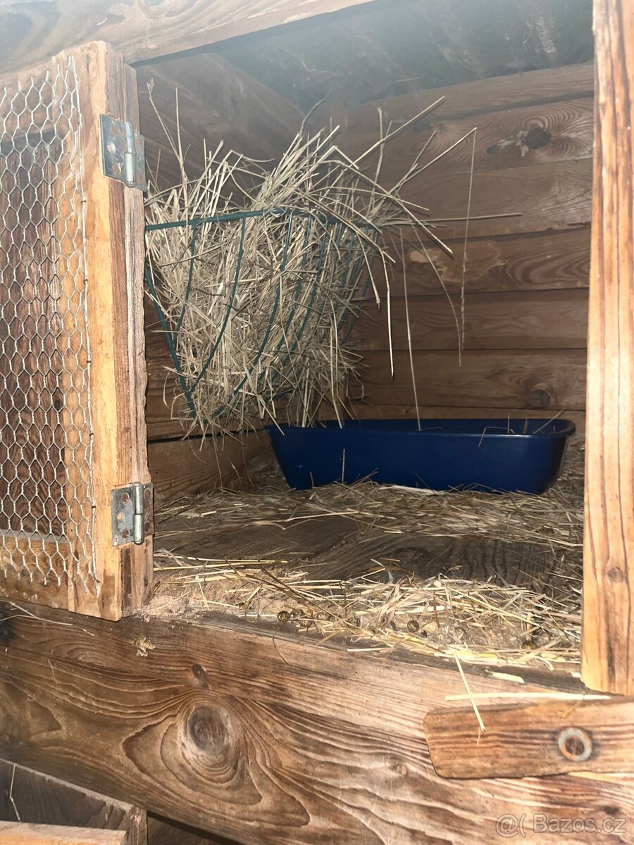 dvoukotcová králikárna - 5