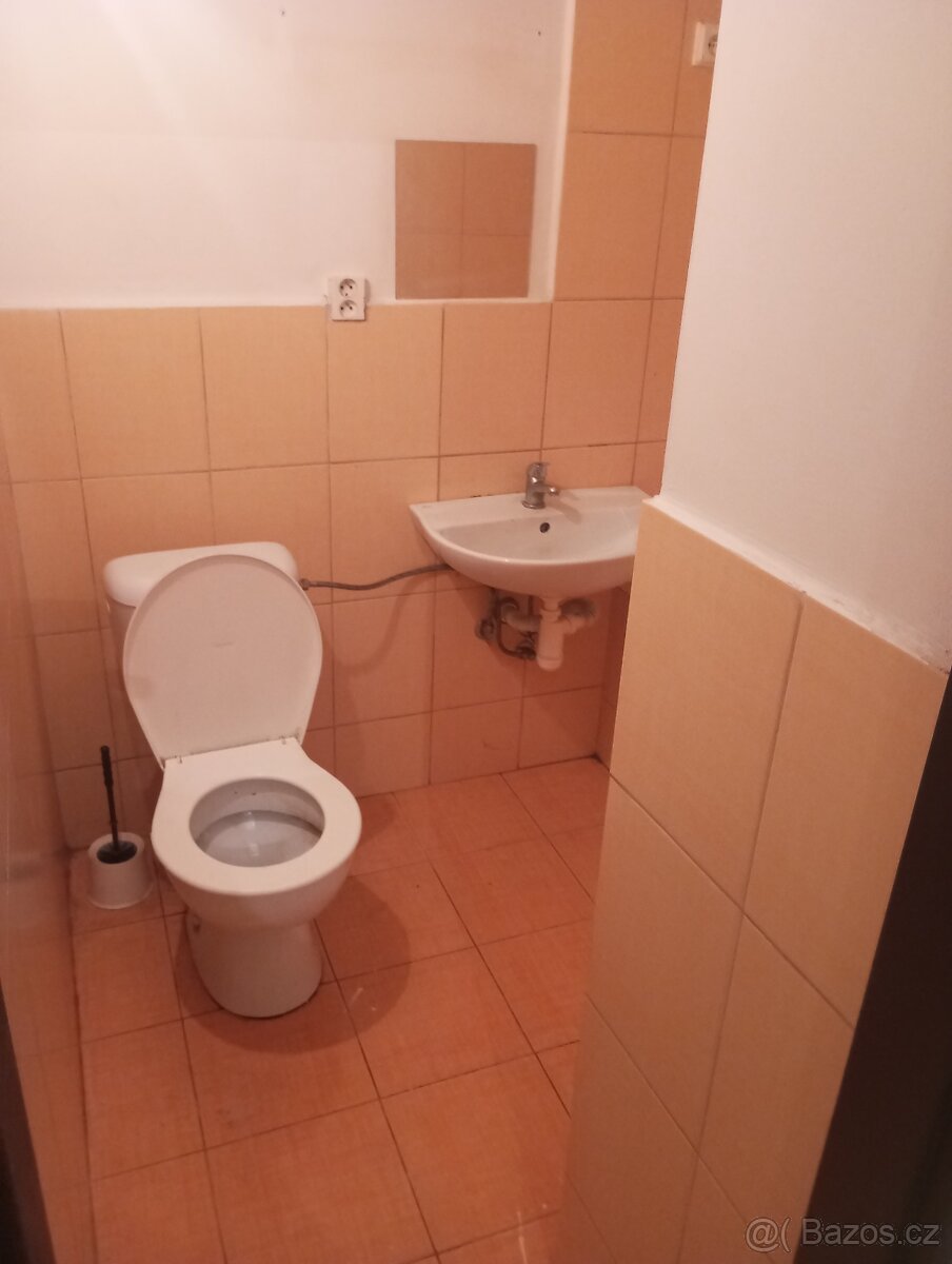 Pronájem bytu 1+1 Ostrava Michalkovice - 5