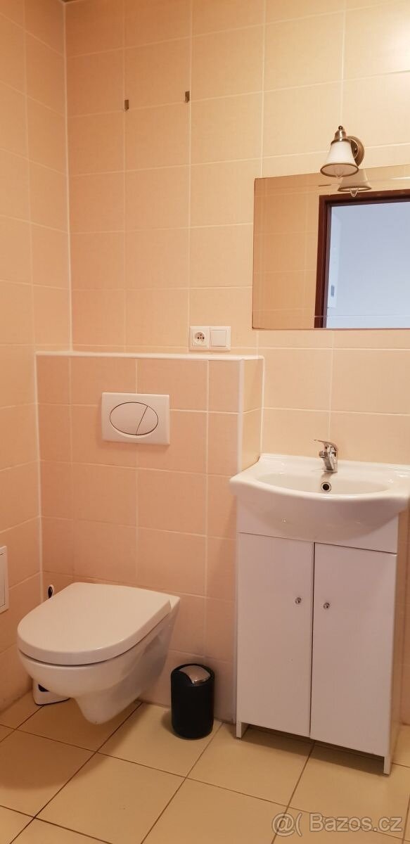 Pronájem zrekonstruovaného bytu 2+kk, Hálkova ulice, Plzeň - 5