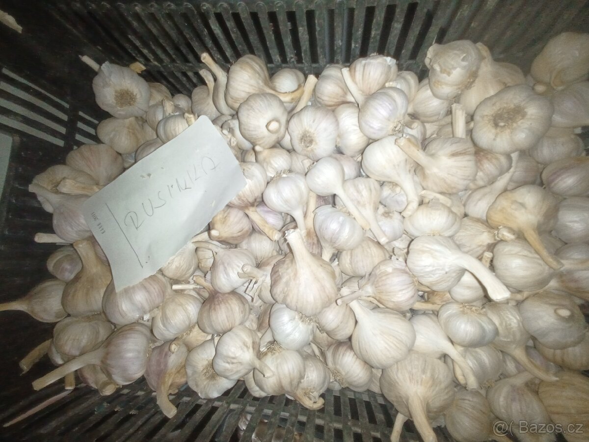 Brambory česnek - 5