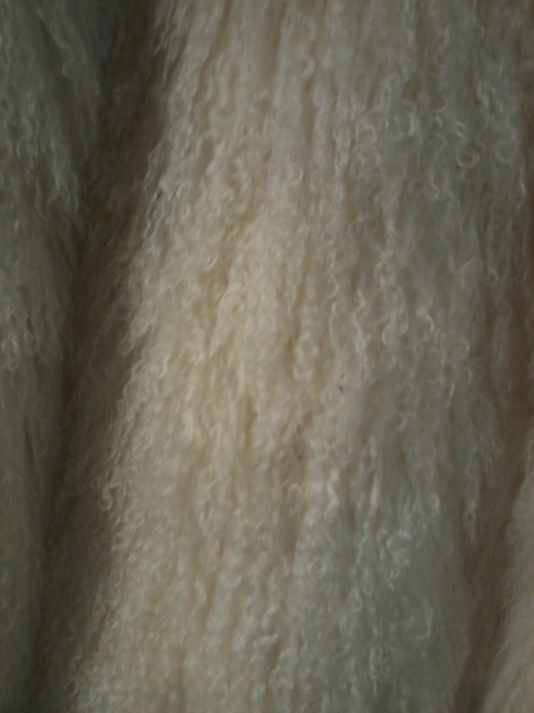 kožich mongolská ovce - 5