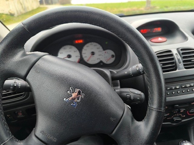 Peugeot 206 - 5