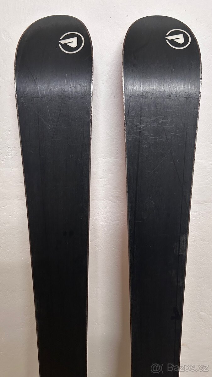 Prodám carvingové lyže SPORTEN TECTOR 169cm - 5