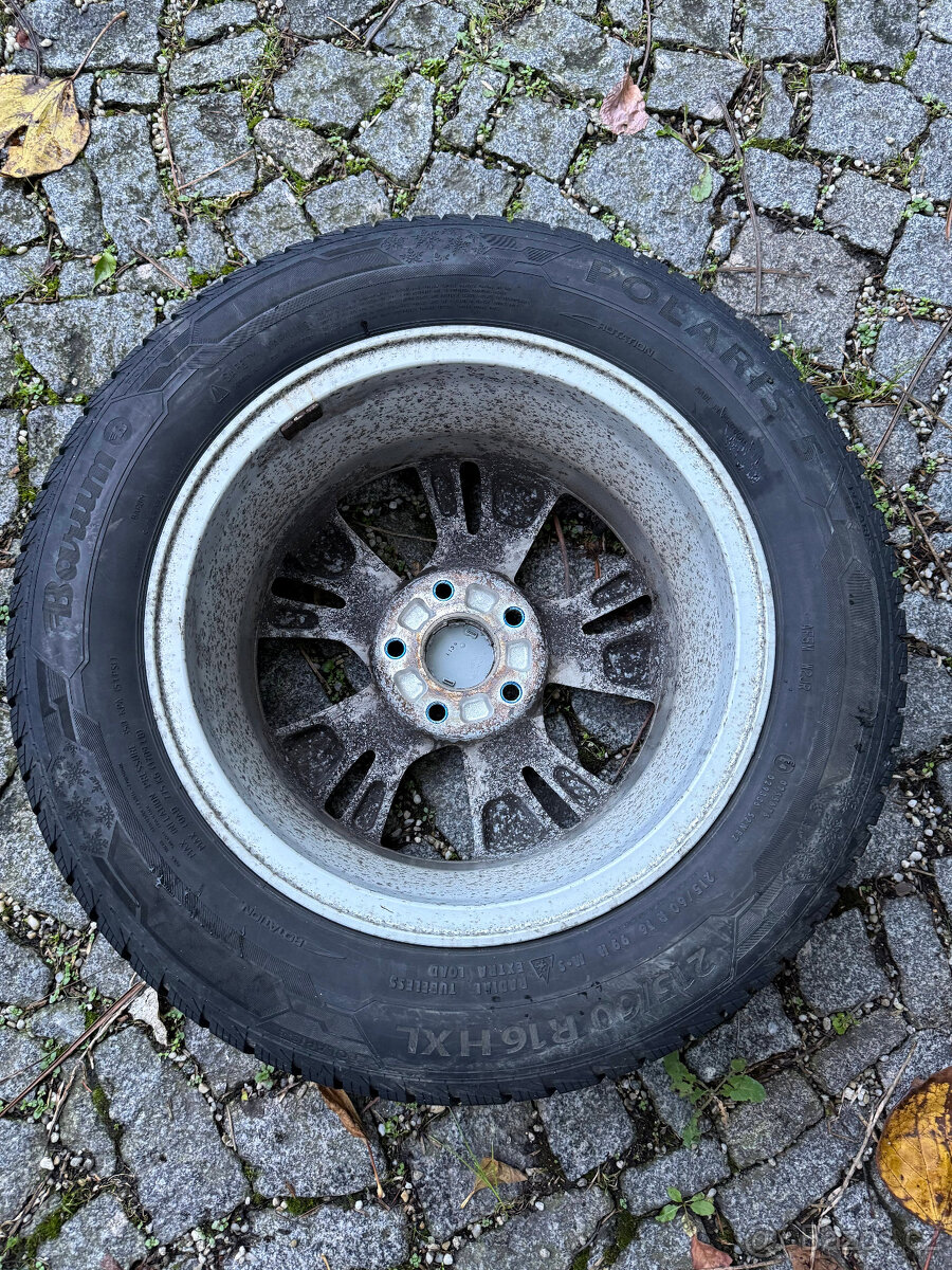 pneu Barum polaris 5 + kola - 5