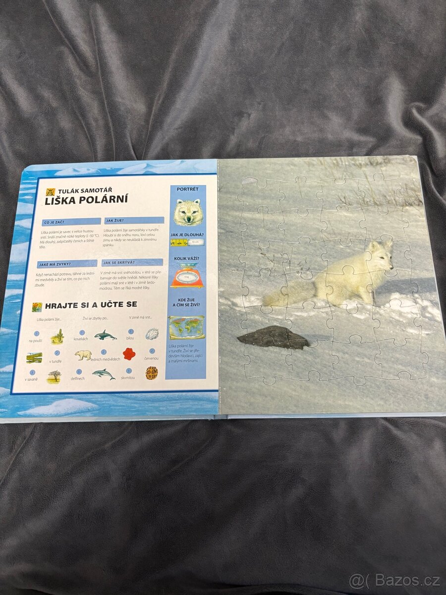 Země věčného sněhu - 5