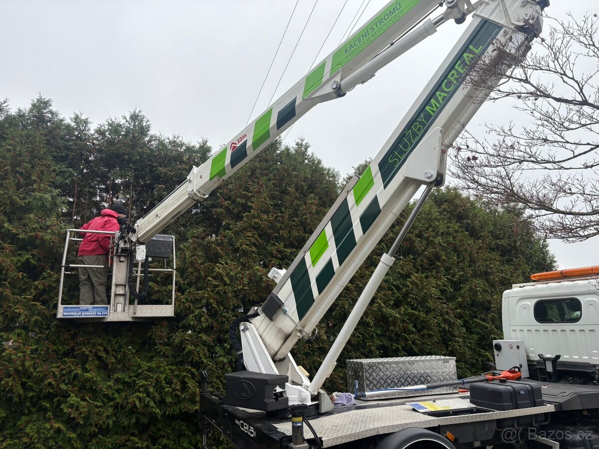 Kácení stromů - 5