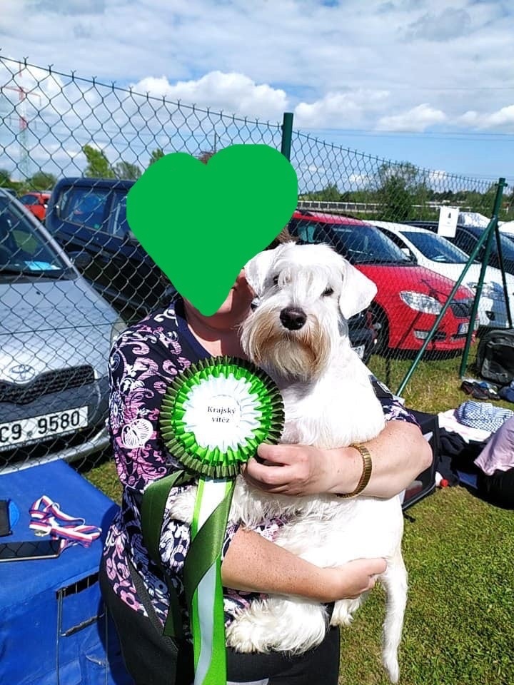 Knirac maly s PP - 5