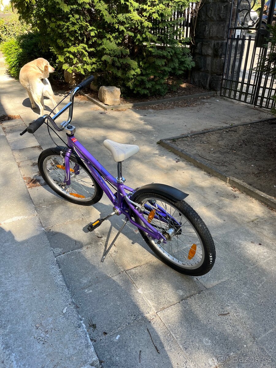 Specialized HotRock 20 - 5