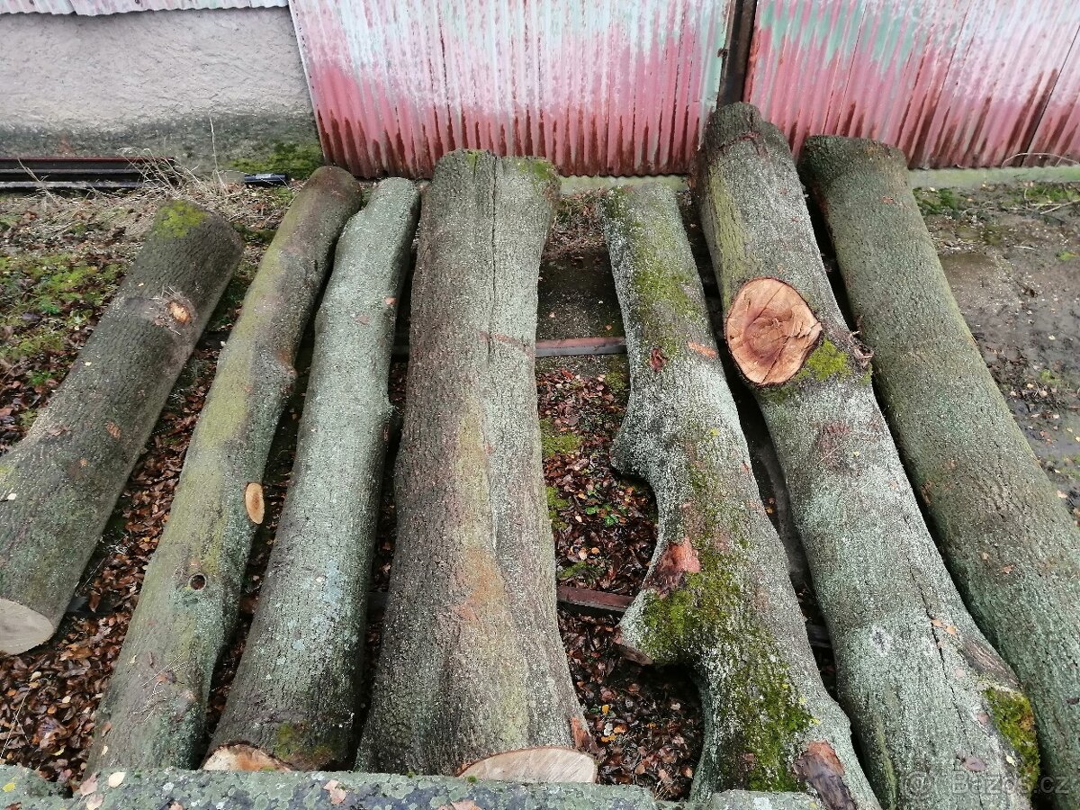 Jasanová kulatina - 5