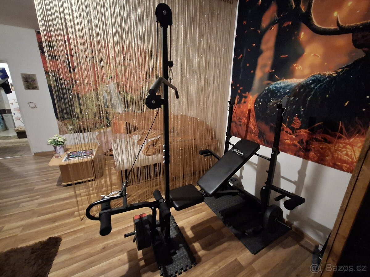 Posilovací věž + kotouče - 5