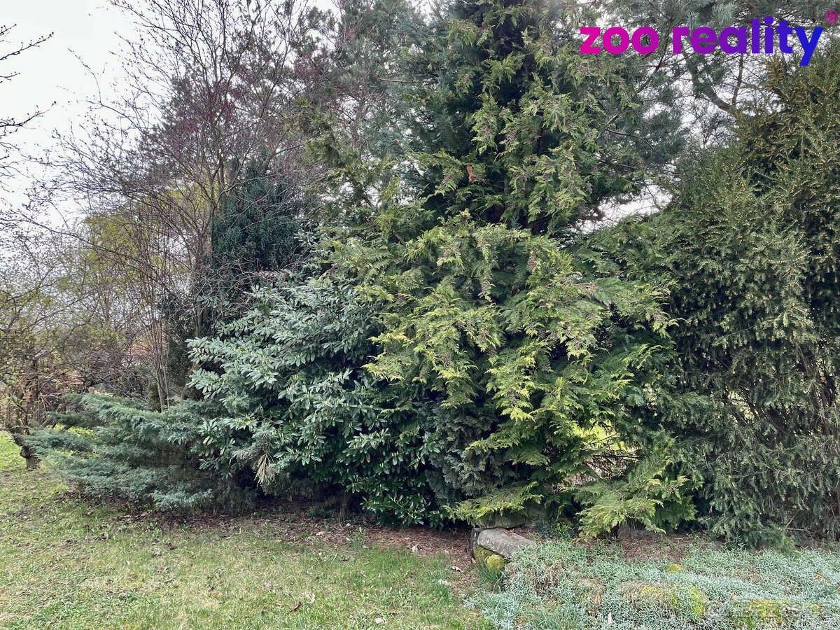 Pronájem, chata, Křičeň - 5