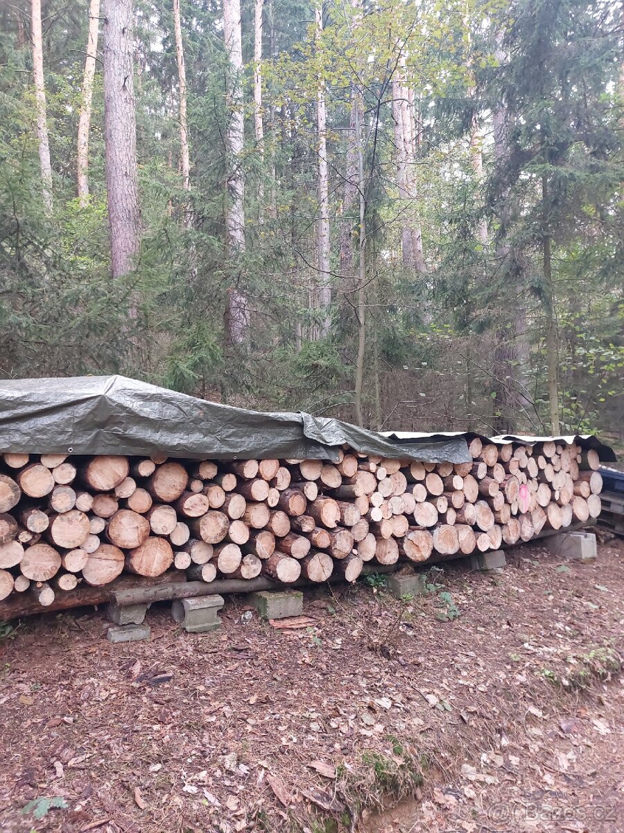 Palivové dřevo "suché" - 5