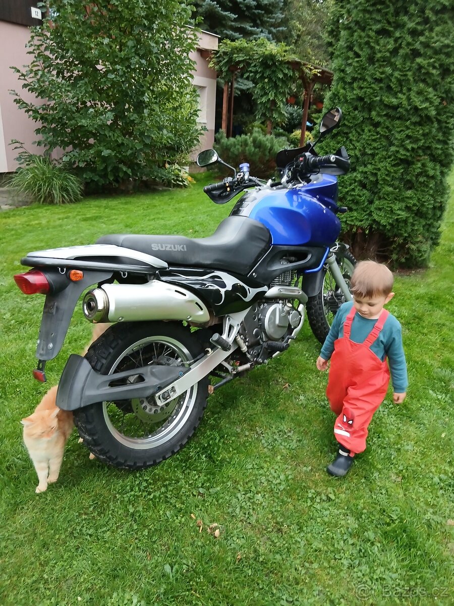 Suzuki XF 650 Freewind 35 kW