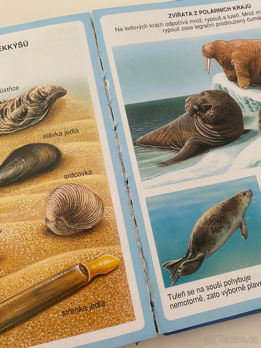 Dětská encyklopedie - Nové obrázky zvířat - 5