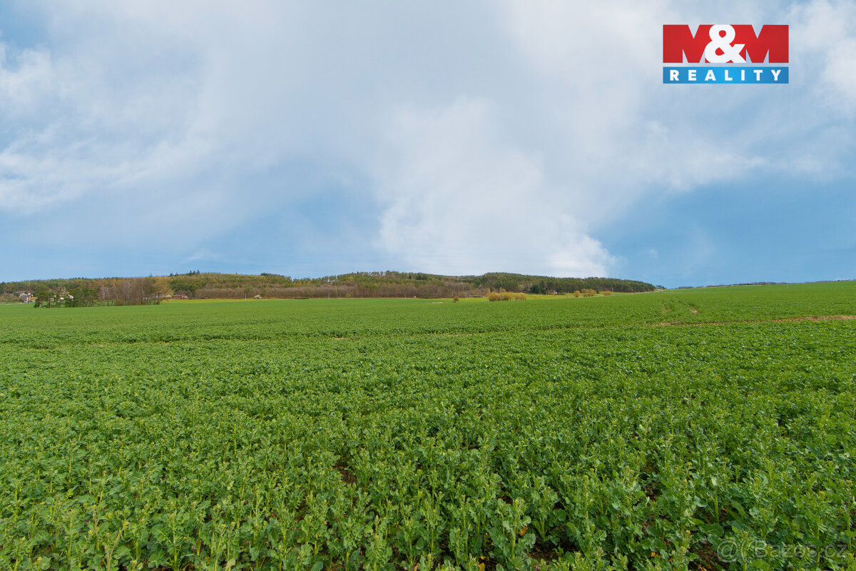 Prodej pole, 5653 m², Čižice - 5
