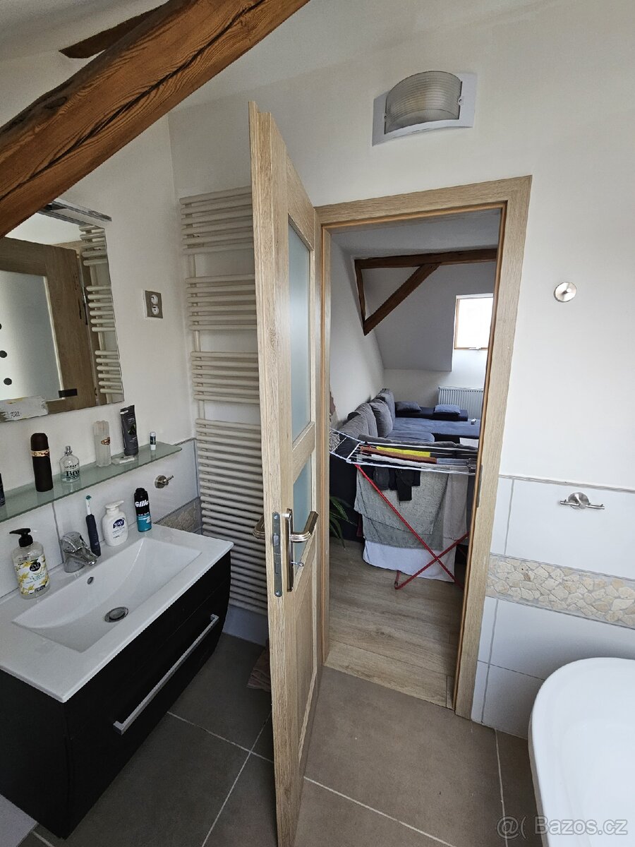 Pronajem bytu 2+1 - 5