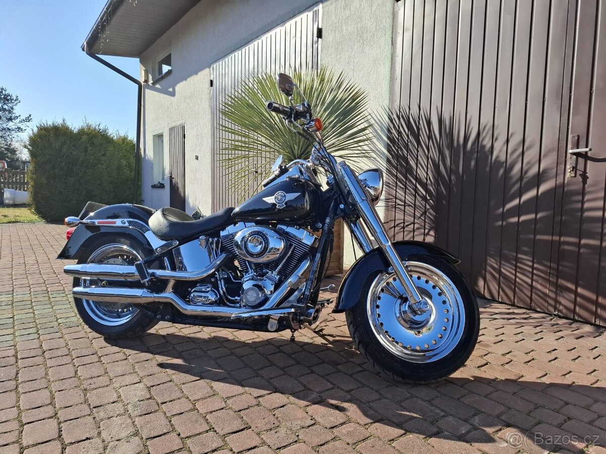 Harley Davidson FAT BOY 2011 - 5
