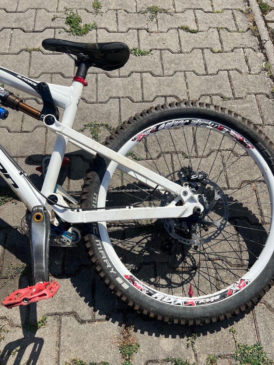 Freeride kolo transition fox kashima edition - 5