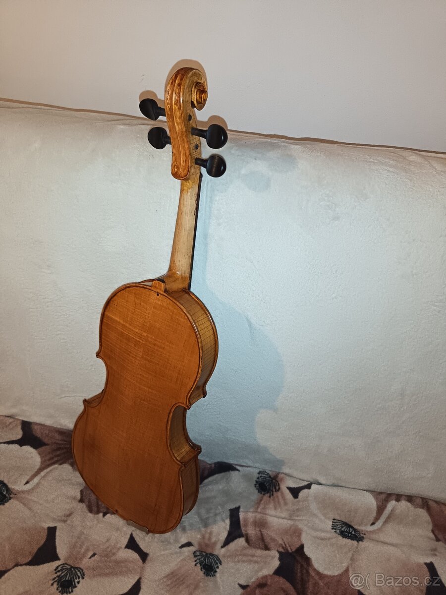Viola - 5