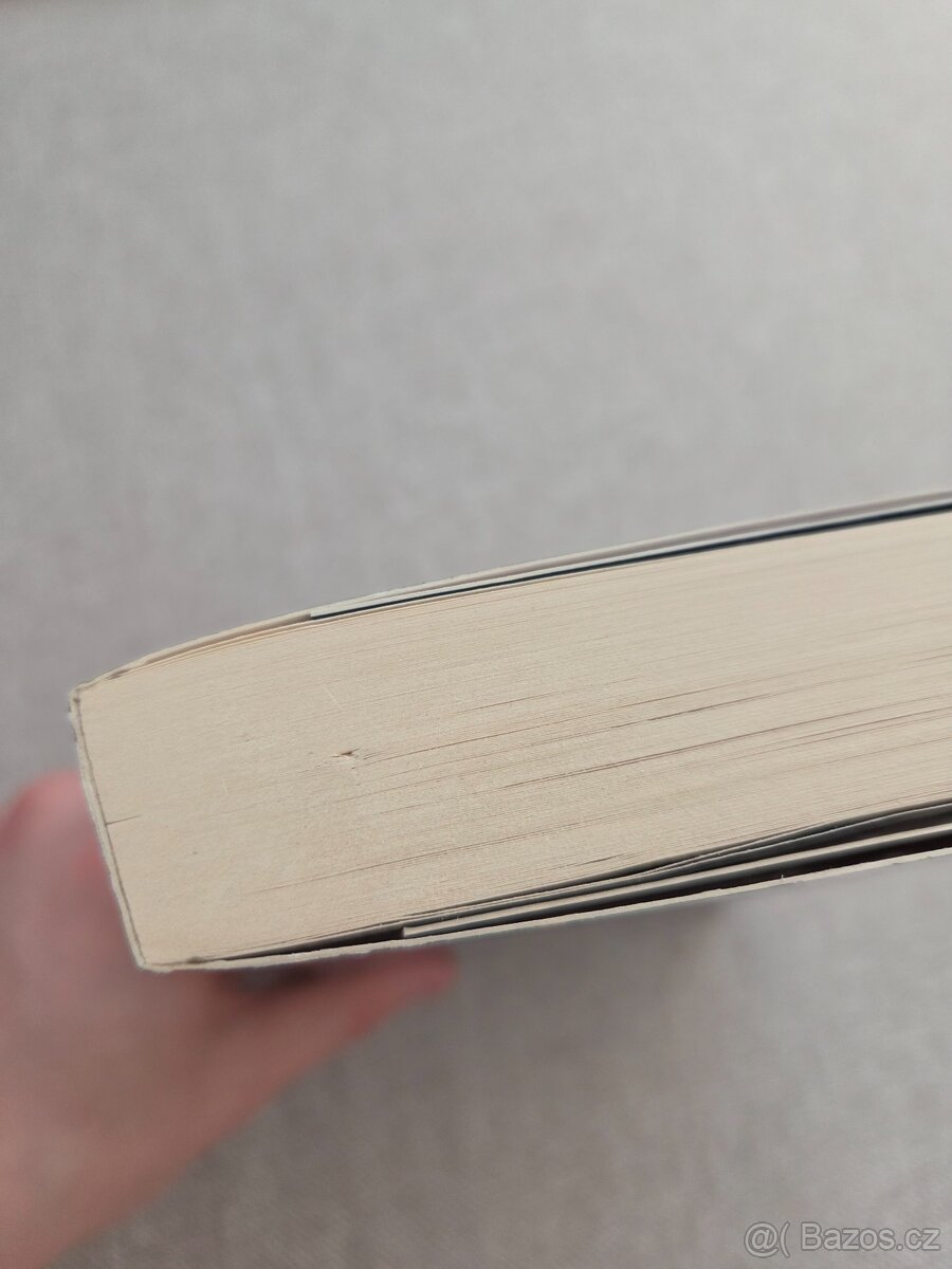 Osamělý vévoda - Christi Caldwell - 5