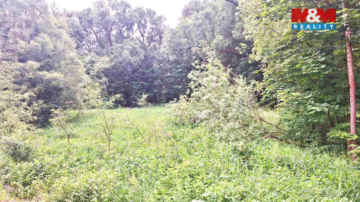 Prodej louky, 8523 m², Manušice - 5