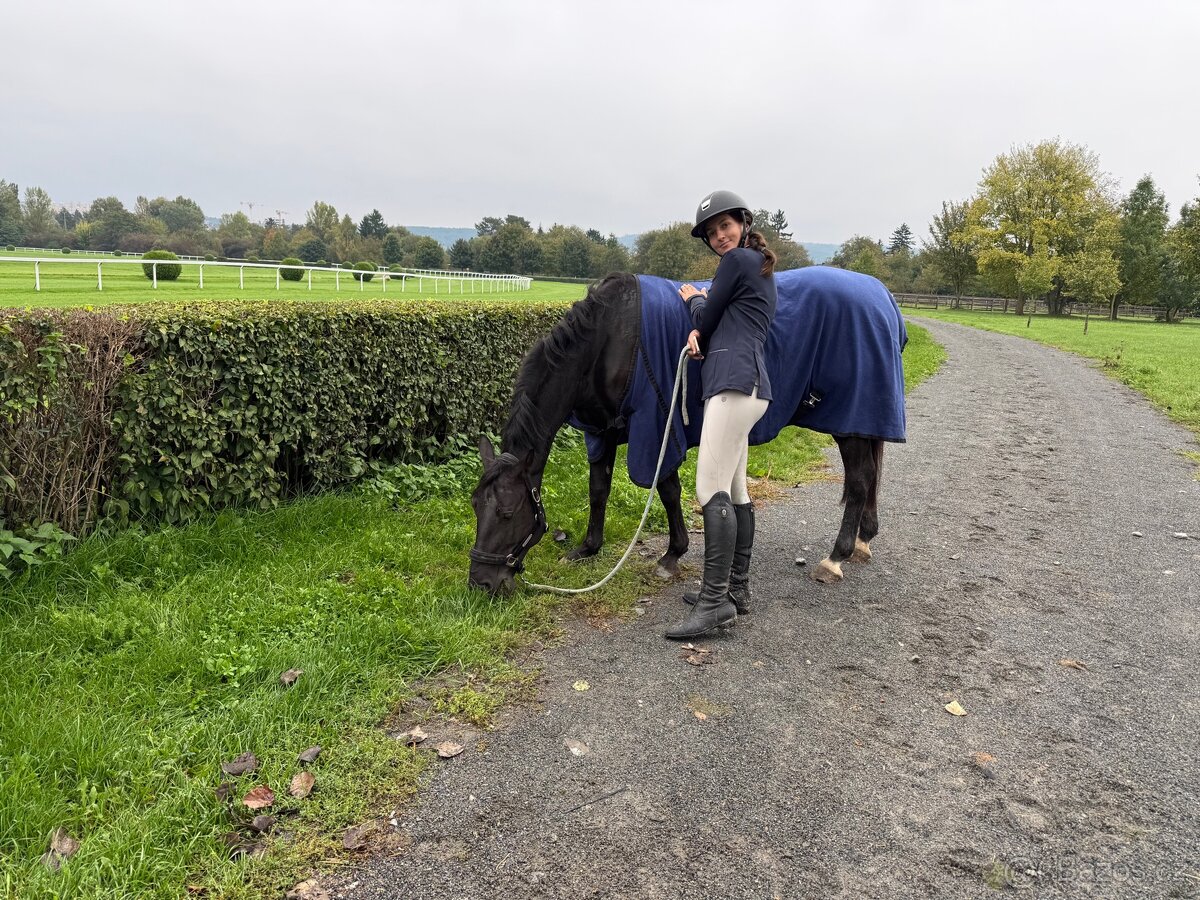 pony klisna kat. B - 5