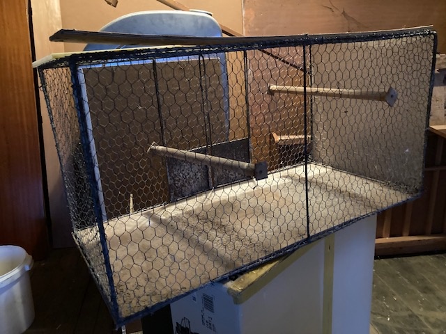 Klec -výstavní - 5