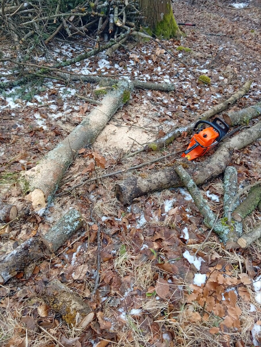 práce brigáda dřevo - 5