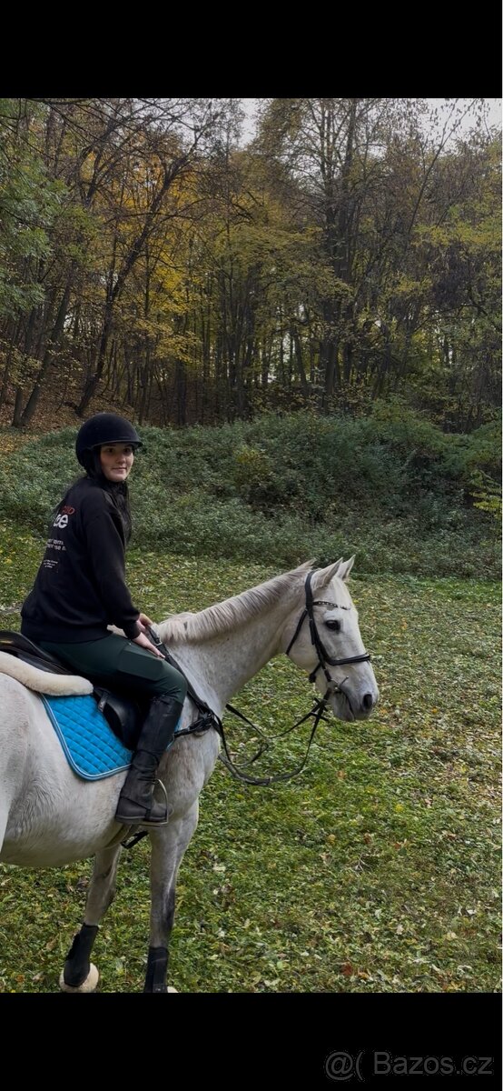 Poloviční pronájem - 5