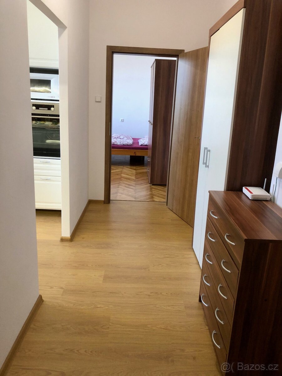 Pronájem bytu 1+1 - 5