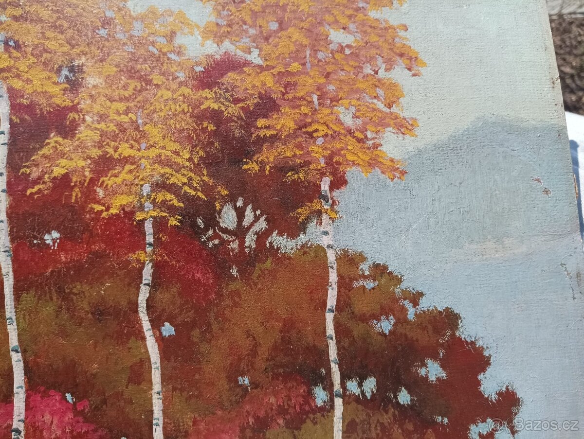 HRBEK OBRAZ OLEJ NA KARTONU - 5