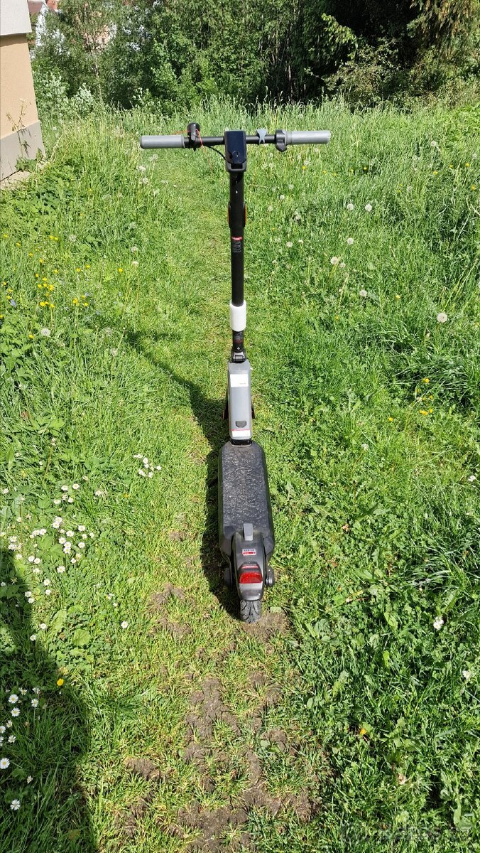 Elektrická koloběžka nová NIU Kui PRO 1 - 5