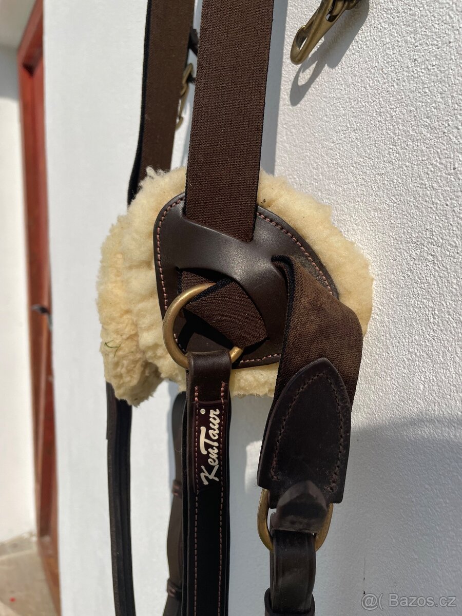 Pětibodový poprsák Kentaur Palermo - 5