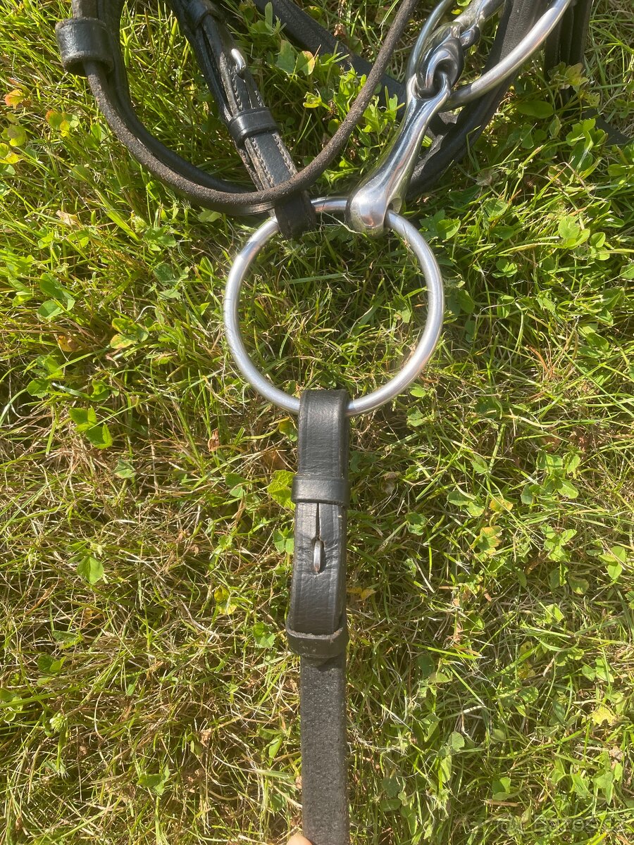 Drezurní uzdečka - 5