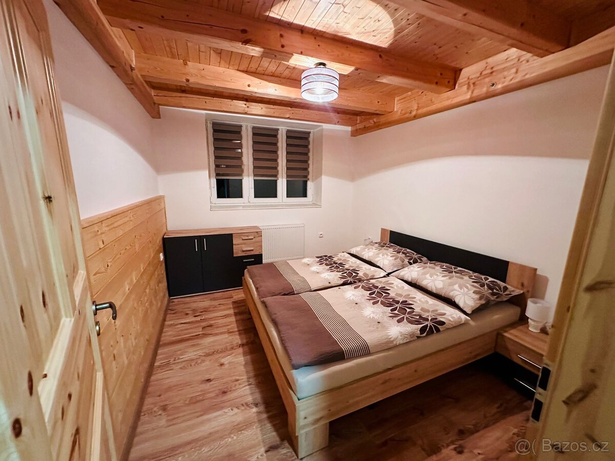 Pronájem - Apartmán Voděrady - 5