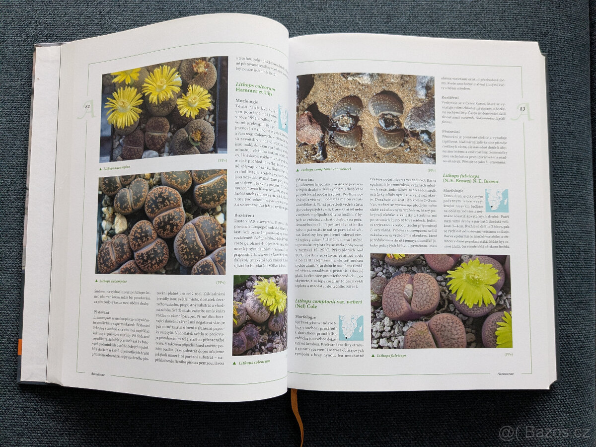 Encyklopedie kaktusů a jiných sukulentů - 5