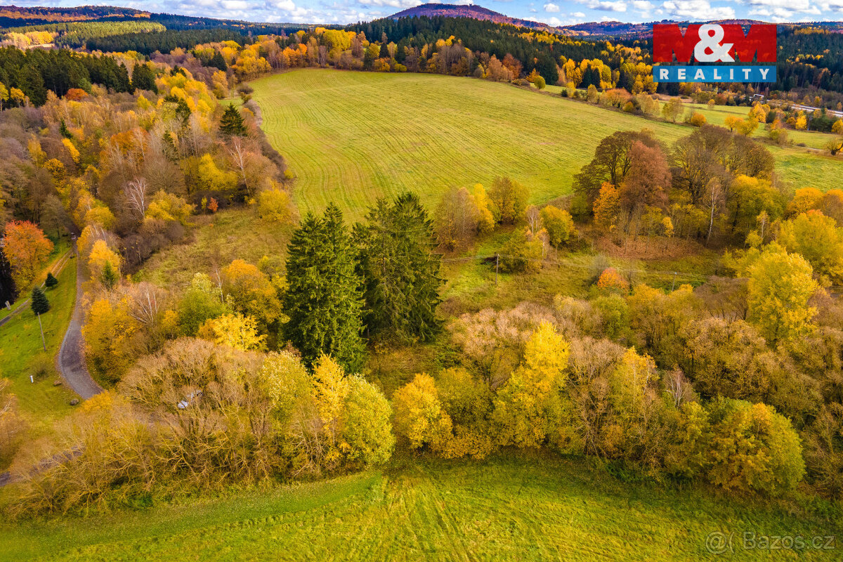 Prodej louky, 1487 m², Rozvadov - 5