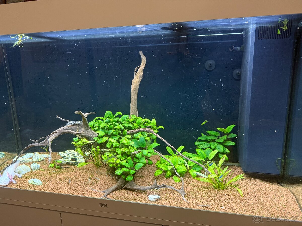 Akvárium Juwel Rio 360l - 5