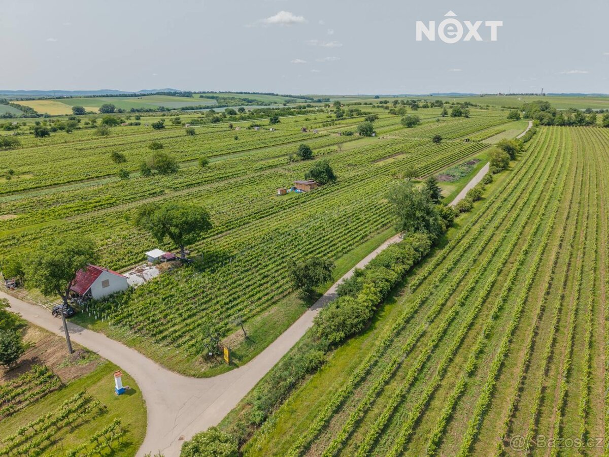 Prodej pozemek Sady/vinice, 2318㎡ - 5