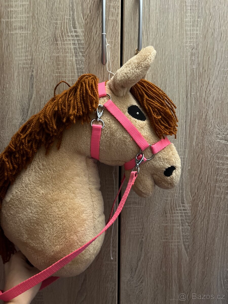 Hobby horse - 5