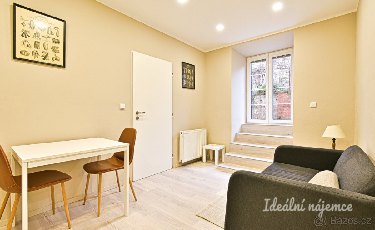 Prodej bytu 2+kk, Čápkova, 33 m2 - 5