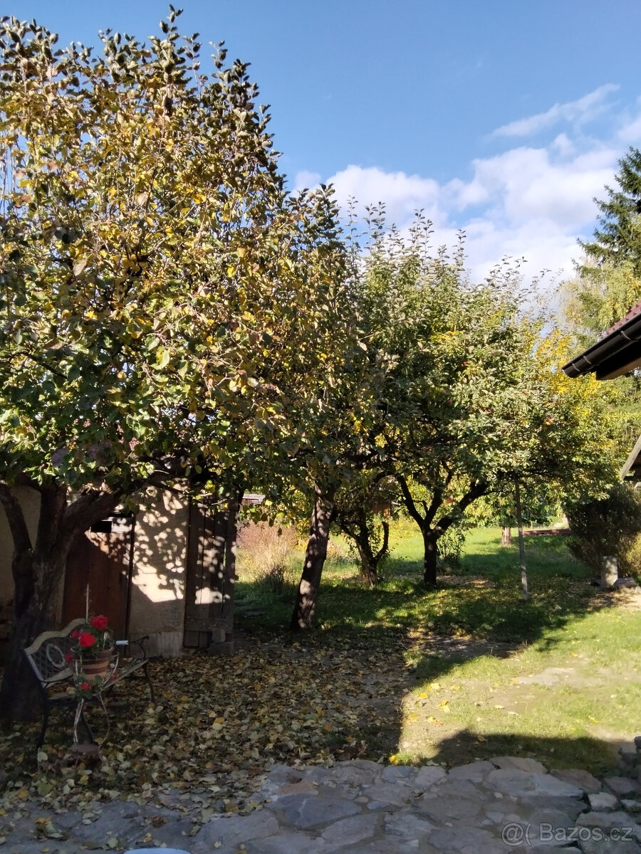 Dům se zahradou ve Vodňanech - 5