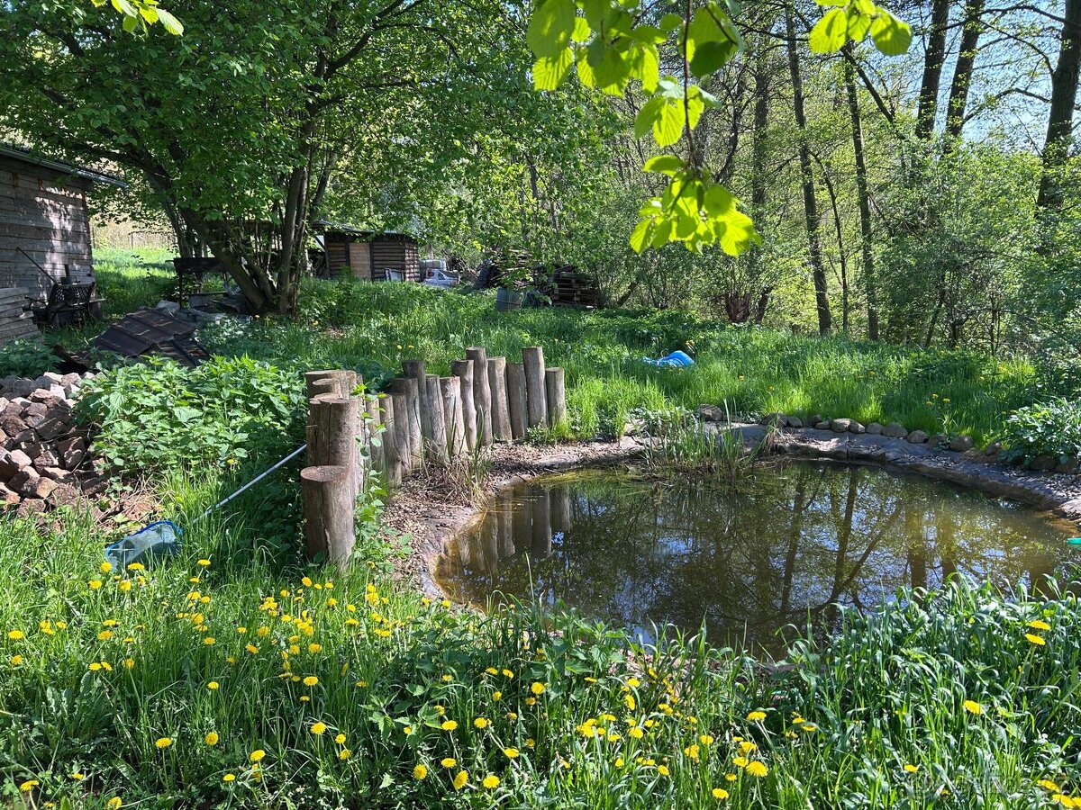 Prodám zahradu 7 763m2 - 5