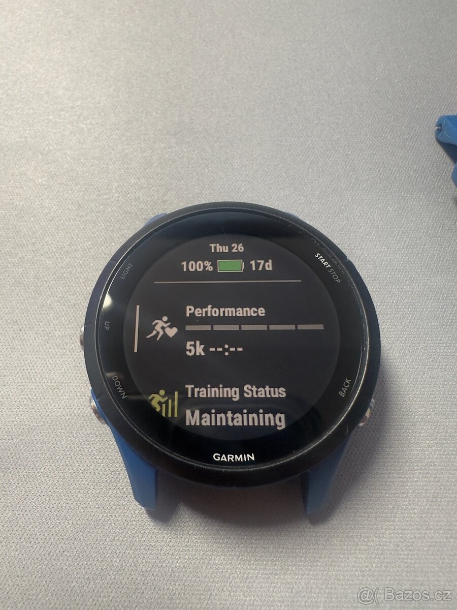 Garmin Forerunner 255 Tidal Blue - 5