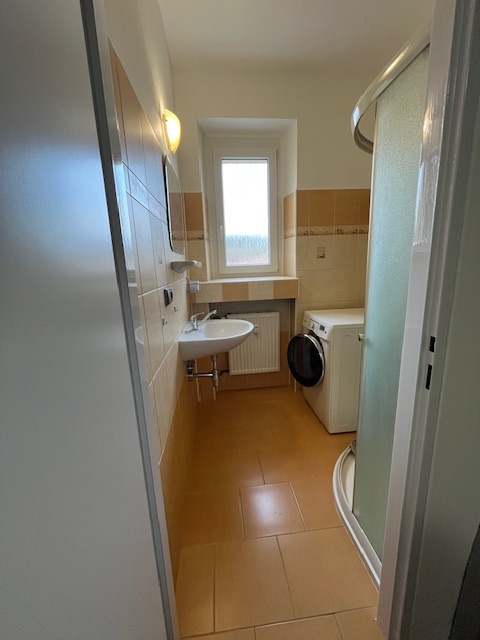 Pronájem bytu 3+1 Vizovice - 5