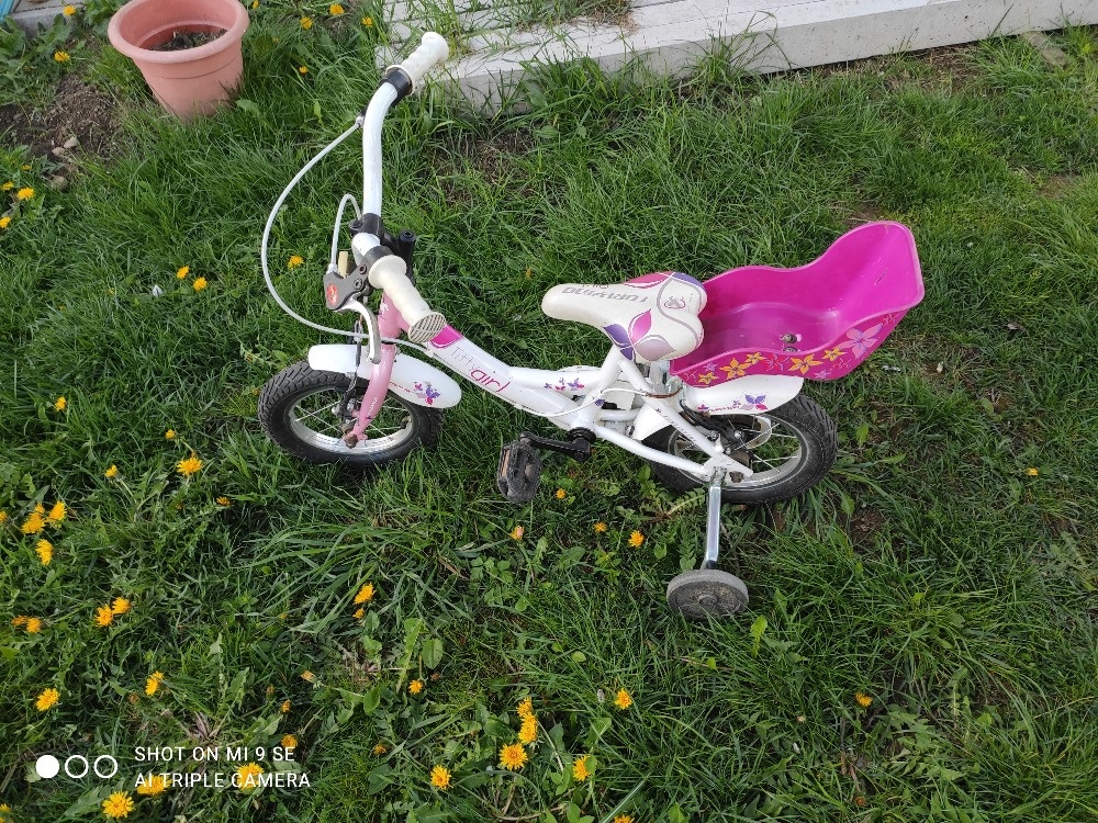 Dívčí kolo 12 - 5