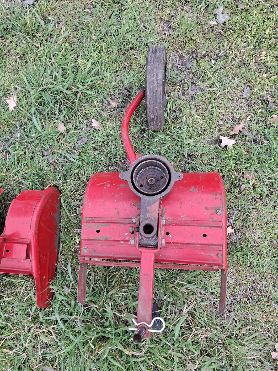 Plečka tera vari - 5